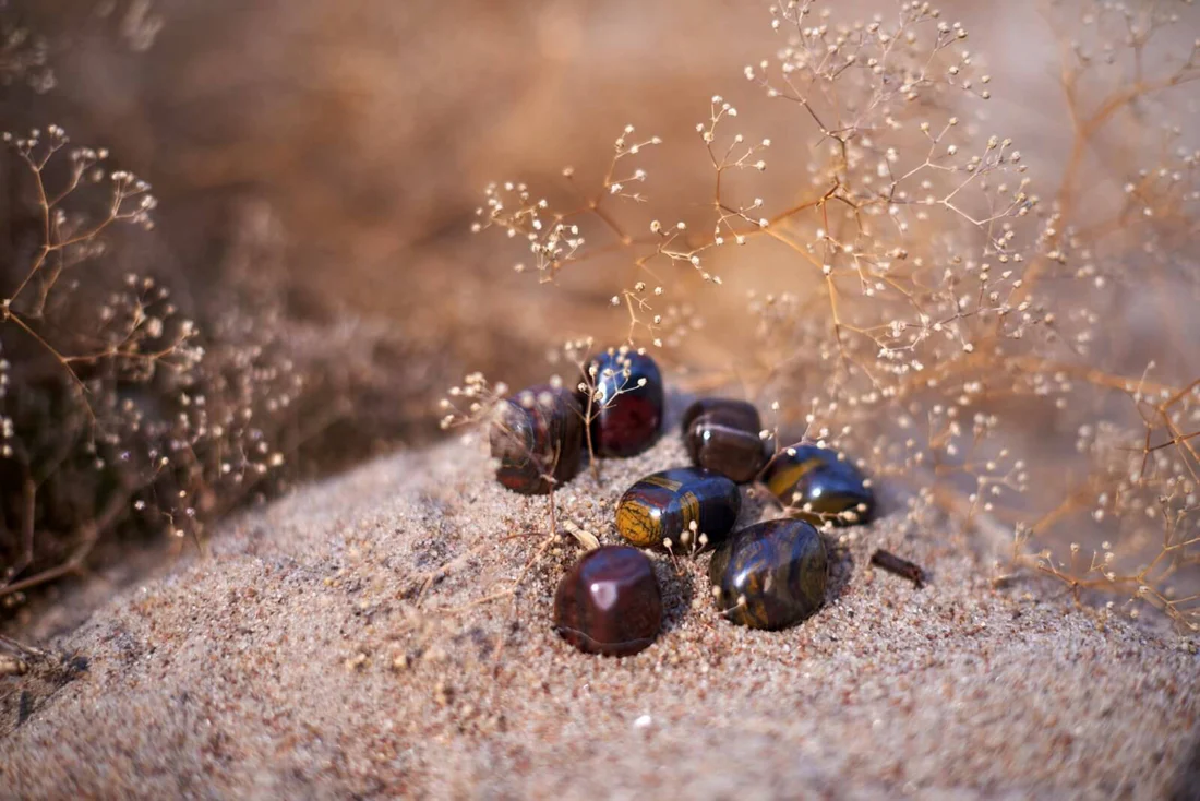 iron-tiger-eye-958138-sw Iron Tiger eye - Image 1