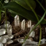 Quartz Point S