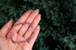 Rubellite bracelet – 3-4mm
